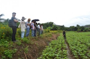 Students listening to an explanation at the soy bean farm