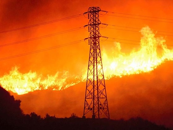 写真１　カリフォルニア州における山火事被害