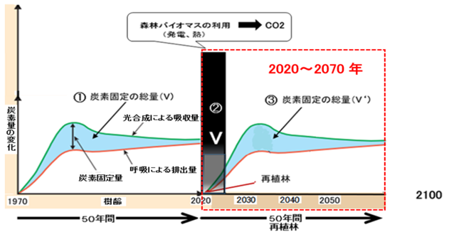 図-１　森林バイオマスのCO2の吸収・排出の過程