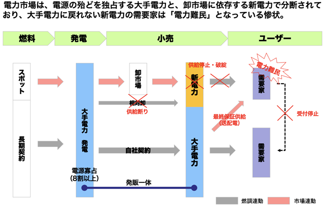 図4　市場の非対称性により発生した「電力難民」