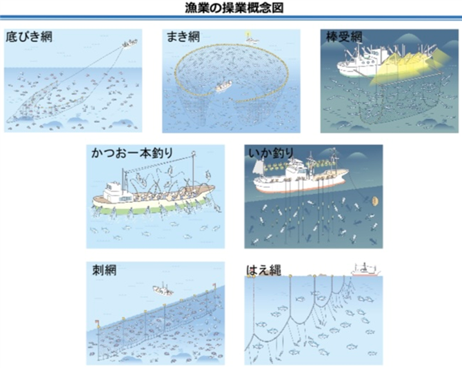 図１．漁業の操業概念図
